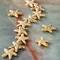 12 Packs: 12 ct. (144 total) Gold Metal Starfish Beads, 14mm by Bead Landing™